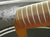 honey collector | a large tank with a spigot, or "honey gate," at the bottom. As honey settles in the tank, air bubbles and small debris rise to the top and can be skimmed off, allowing honey that is bottled from the honey gate to be clear and attractive