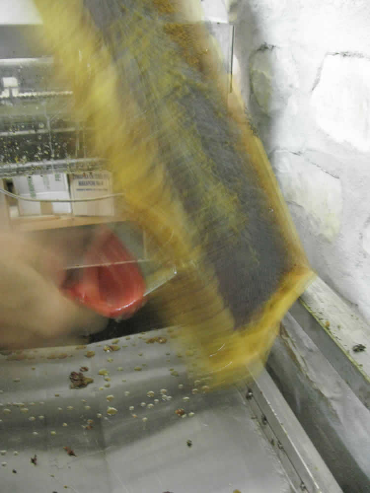 UNCAPPING - slicing off the cappings from the honeycombs | beehouse tsepelovo, zagorohoria, greece