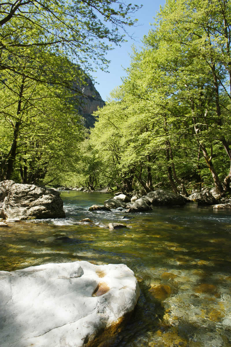 The springs of Voidomatis river