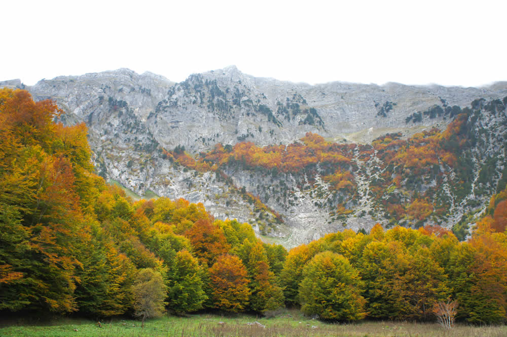 An Autumn trip to the colourful beech trees under Tsouka Rossa mountain peak in Pindus